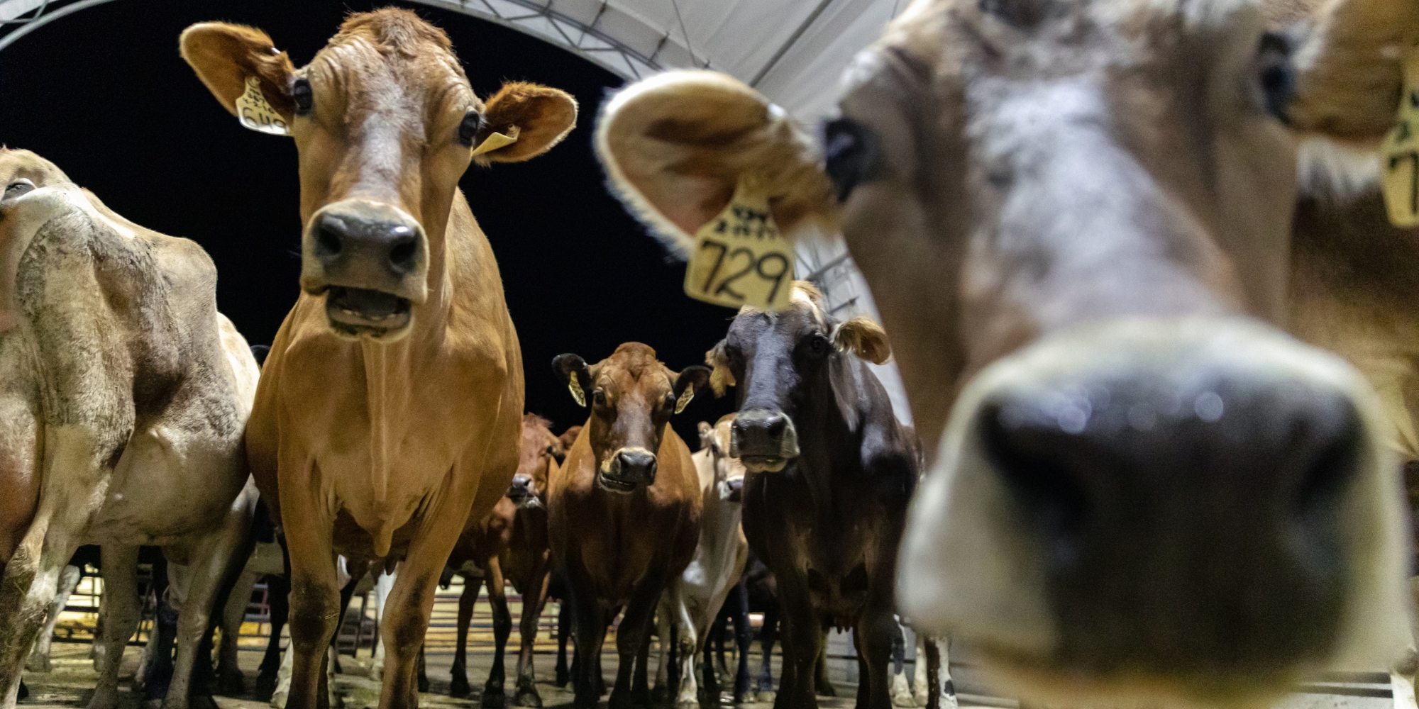 The Story of Redmond Heritage Farm Redmond Heritage Farms